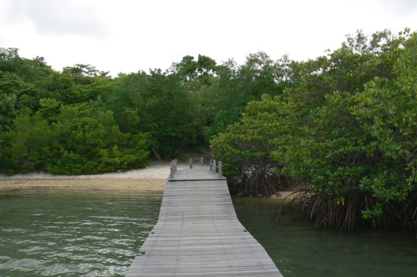 Menjangan Jungle & Beach Resort Beach 06