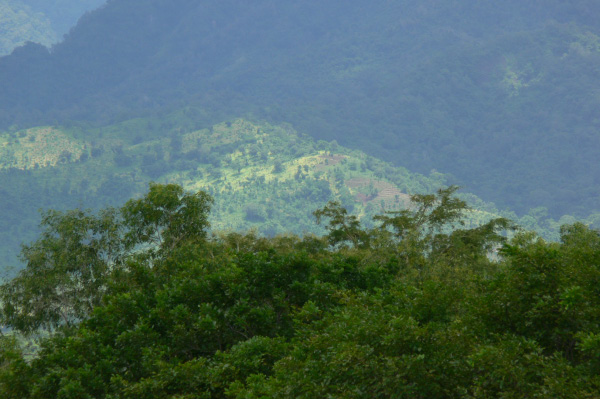 Menjangan Jungle & Beach Resort View 06