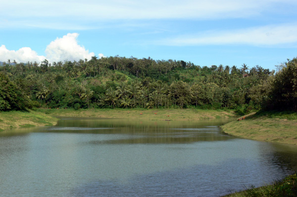 Palasari reserve