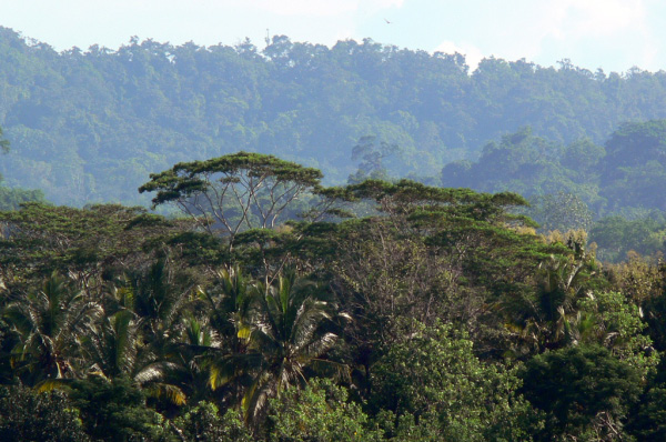 Taman Wana views 01