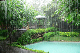 Menjangan Jungle & Beach Resort Raining