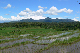 Westbali Palasari Ricefields 05