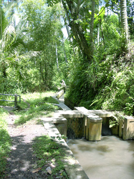 ubud 03