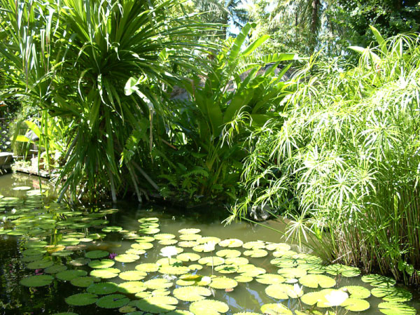 watergarden 01