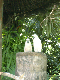 bali bird park 0