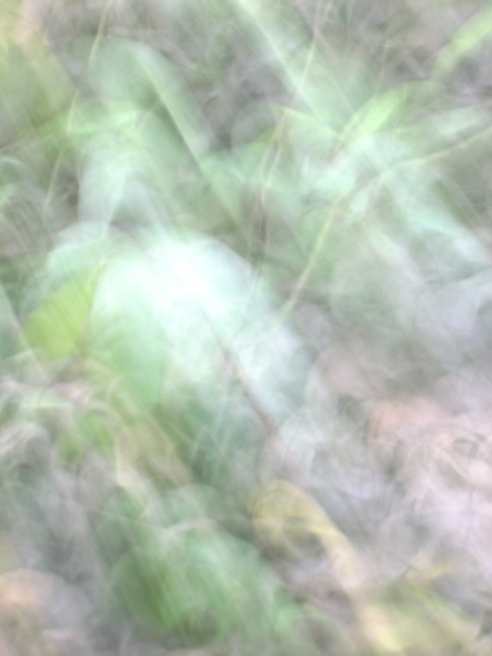 ghosts