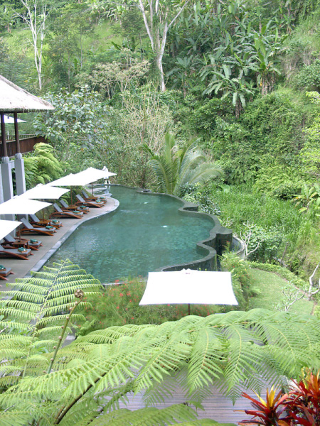 maya ubud