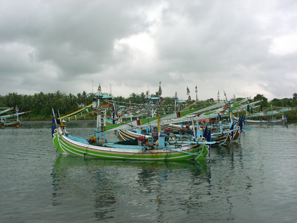 perencak 01