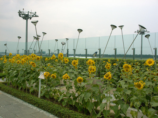 singapure
