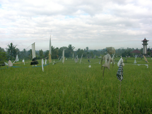 ubud 07