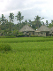 ubud 01