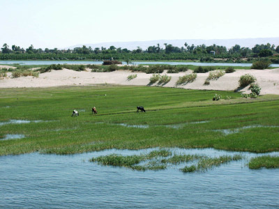 nile trip 12