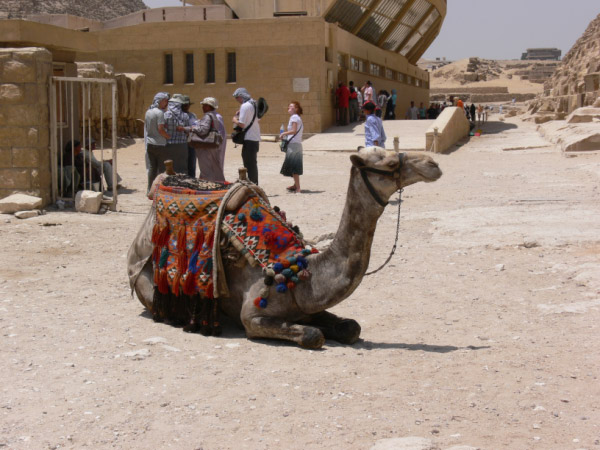 cairo pyramids 05