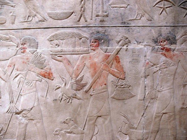 sakkara 16