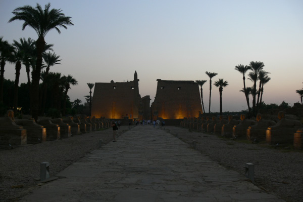 P1020560